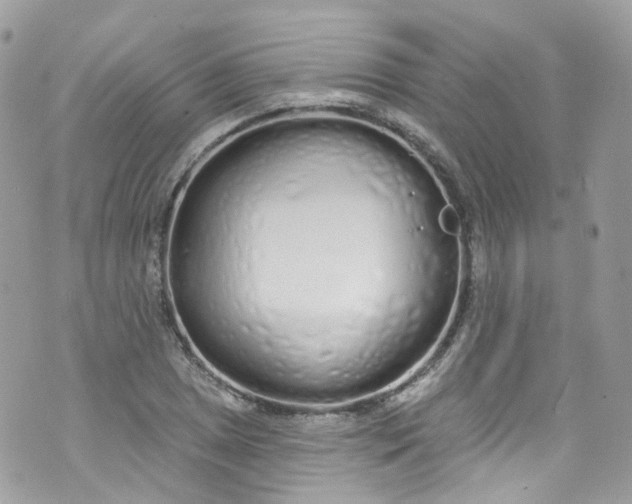 X0000072991025200608111802