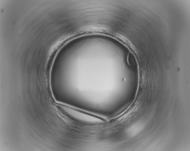 X0000072991027200608111802