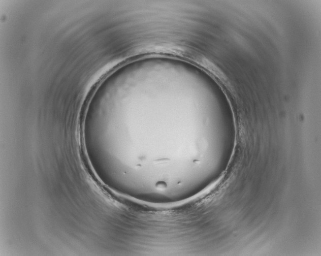 X0000072991028200608111802