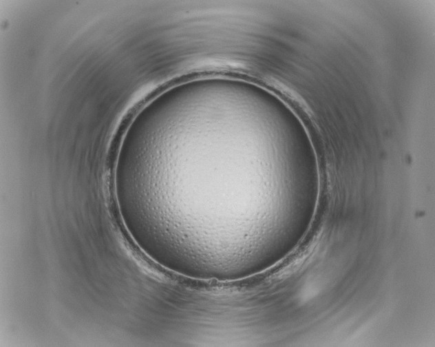 X0000072991029200608111802