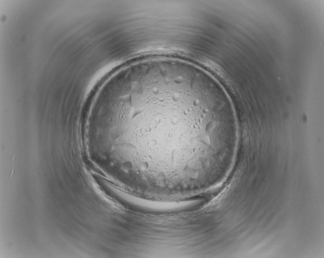 X0000072991030200608111802