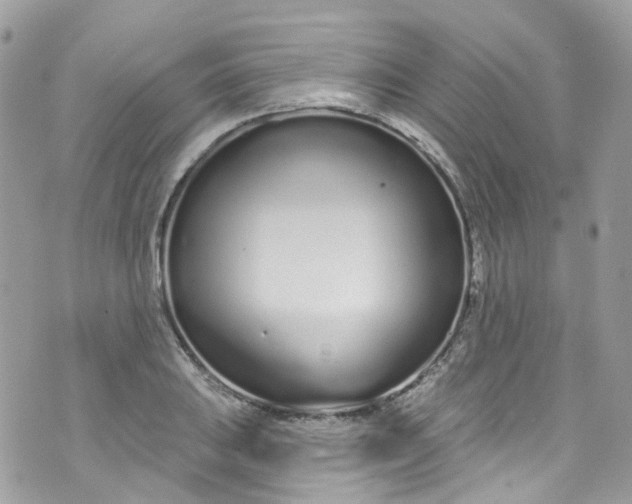 X0000072991031200608111802