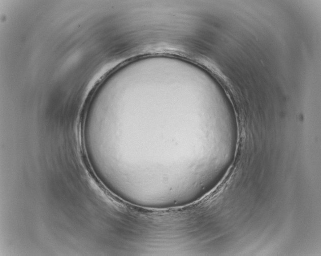 X0000072991032200608111802