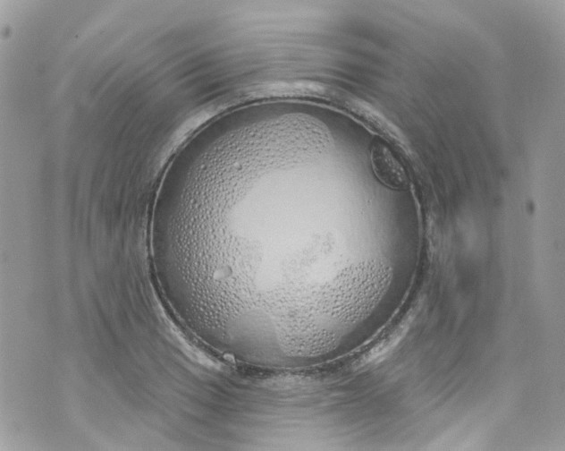 X0000072991033200608111802