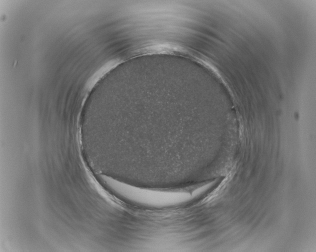 X0000072991034200608111802