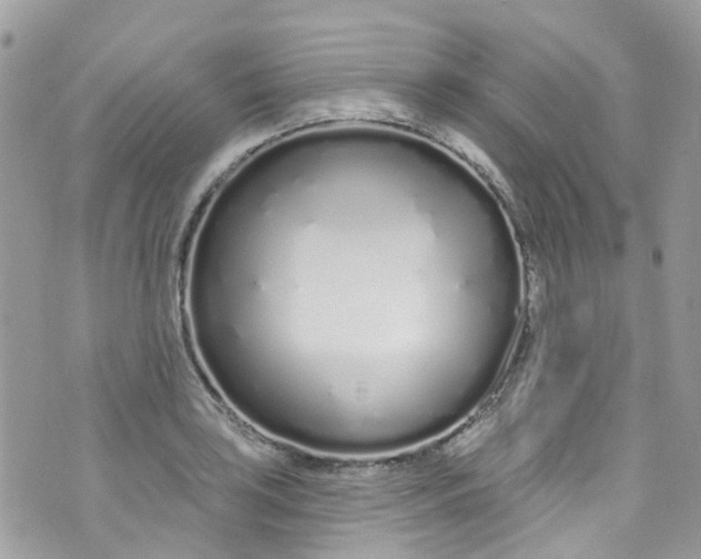 X0000072991035200608111802