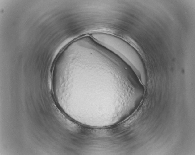 X0000072991036200608111802