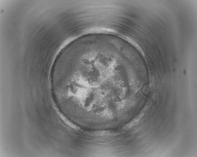 X0000072991037200608111802