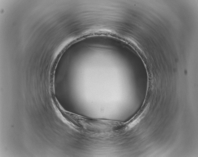 X0000072991038200608111802