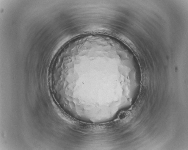 X0000072991039200608111802