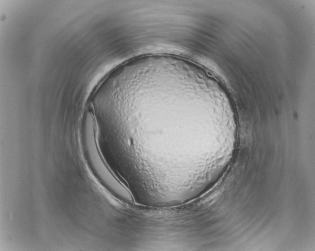 X0000072991040200608111802