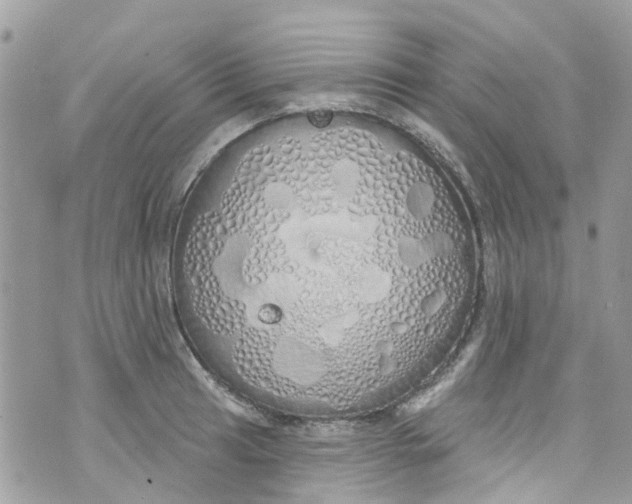 X0000072991041200608111802