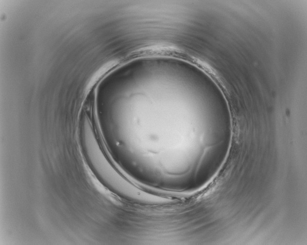 X0000072991042200608111802