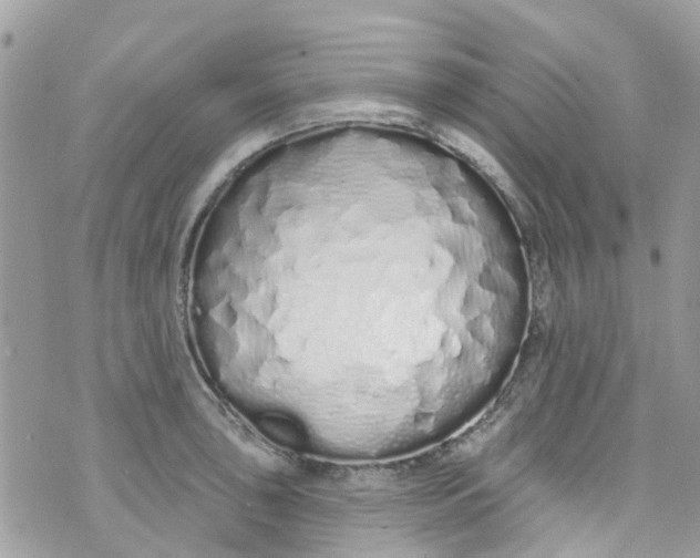 X0000072991043200608111802