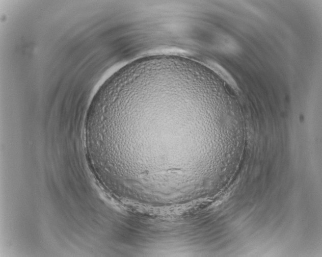 X0000072991044200608111802