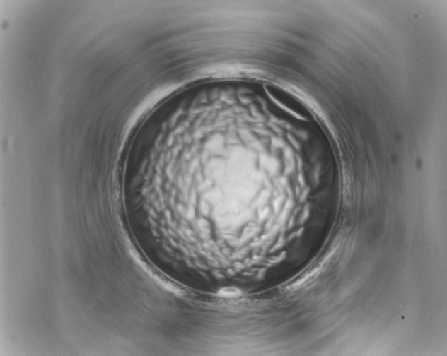 X0000072991045200608111802