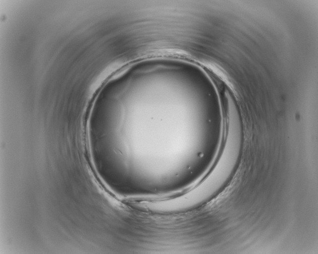 X0000072991046200608111802