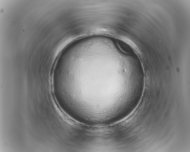 X0000072991047200608111802