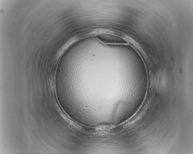 X0000072991049200608111802