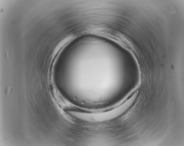 X0000072991050200608111802