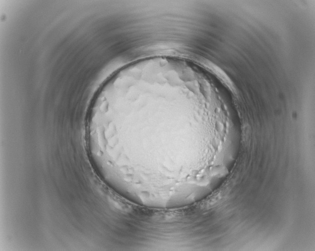 X0000072991051200608111802