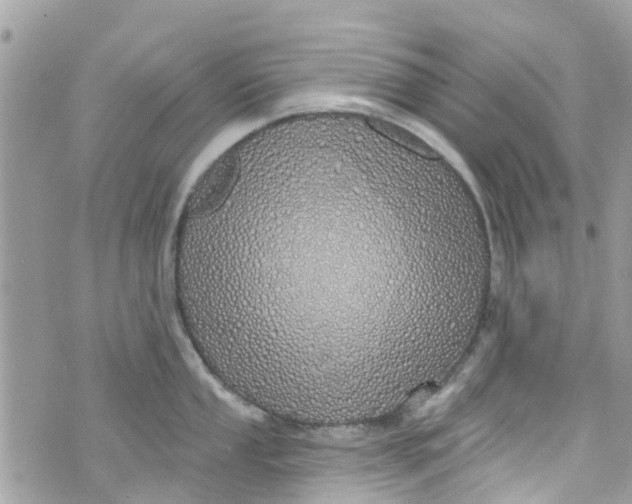 X0000072991053200608111802