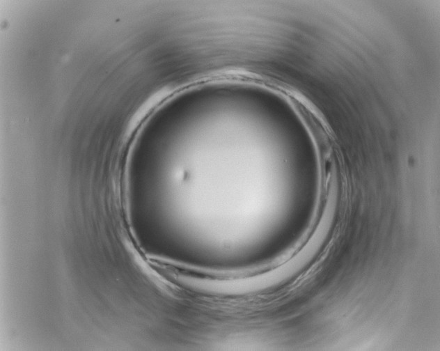 X0000072991054200608111802