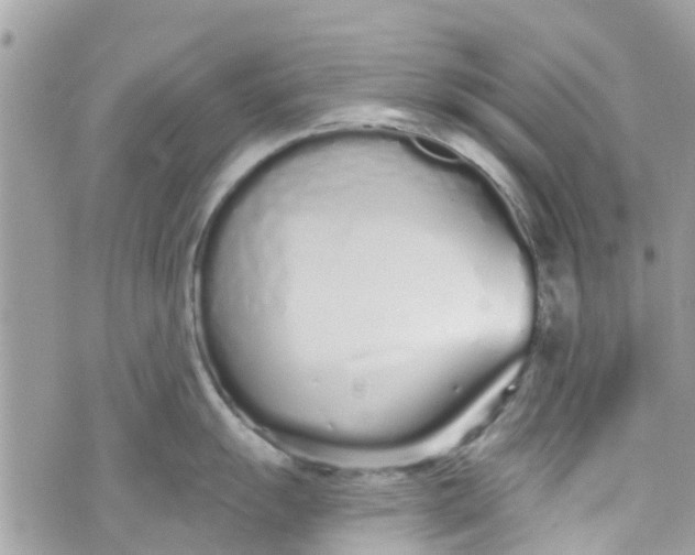 X0000072991055200608111802