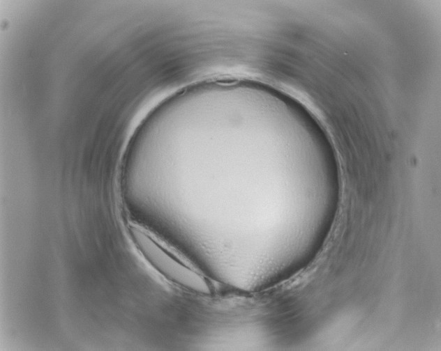 X0000072991056200608111802