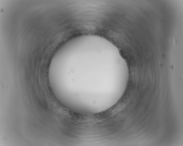 X0000072991057200608111801