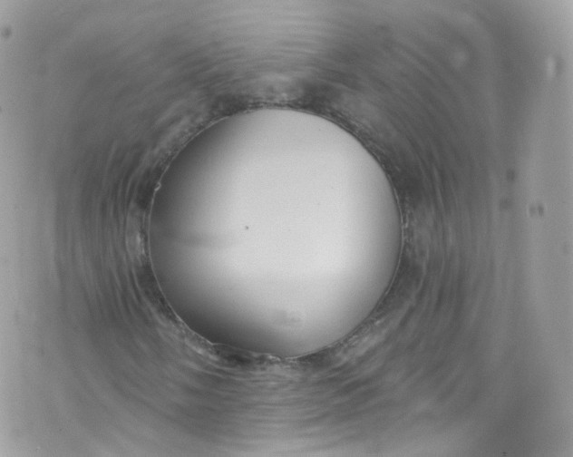 X0000072991058200608111801