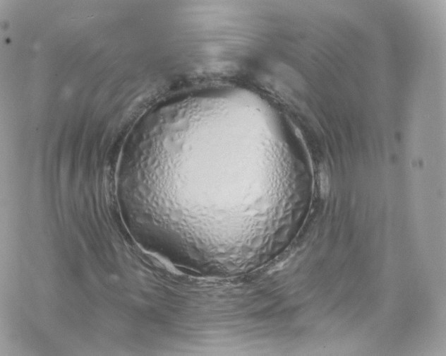 X0000072991059200608111801