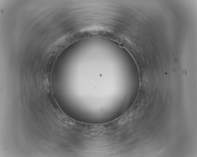 X0000072991062200608111801