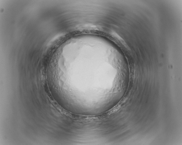 X0000072991063200608111801