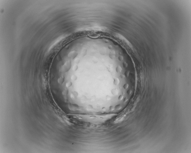 X0000072991064200608111801