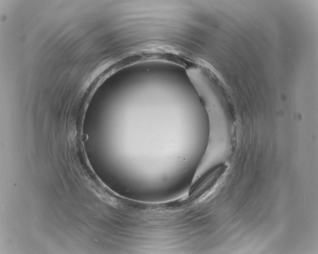 X0000072991065200608111801