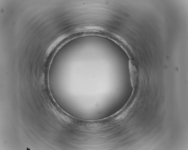 X0000072991066200608111801