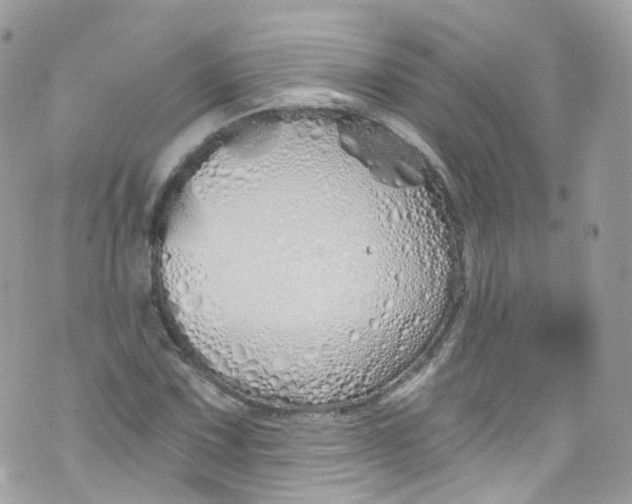 X0000072991067200608111801