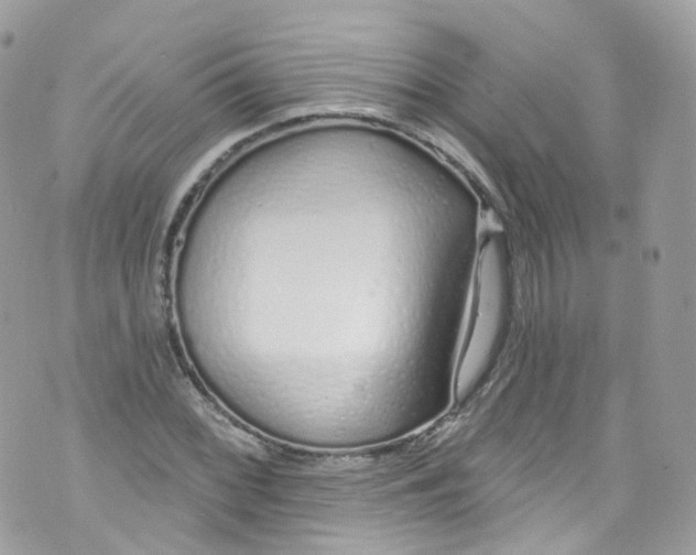 X0000072991068200608111801