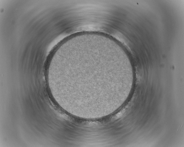 X0000072991070200608111801