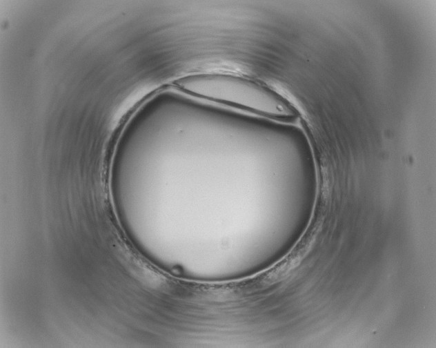 X0000072991071200608111801