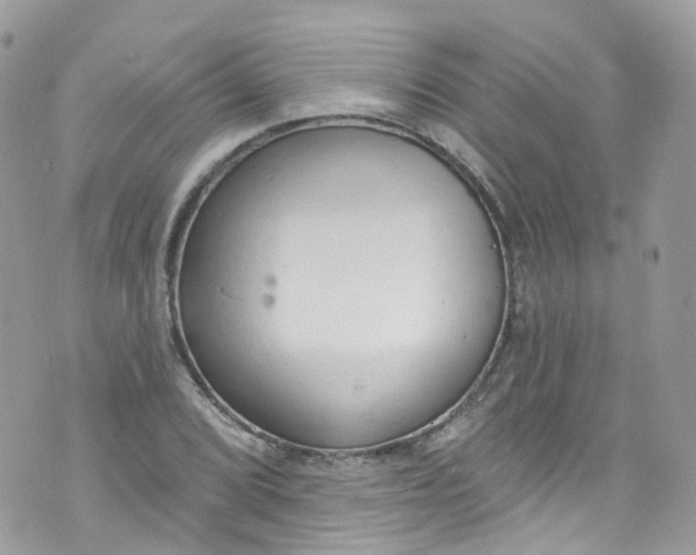 X0000072991072200608111801