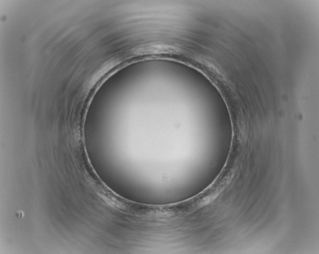 X0000072991073200608111801