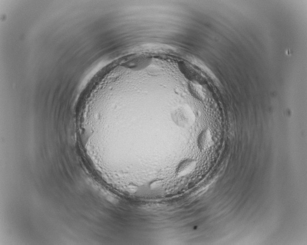 X0000072991075200608111801