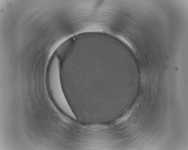 X0000072991077200608111801