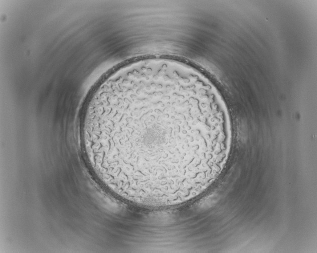 X0000072991078200608111801