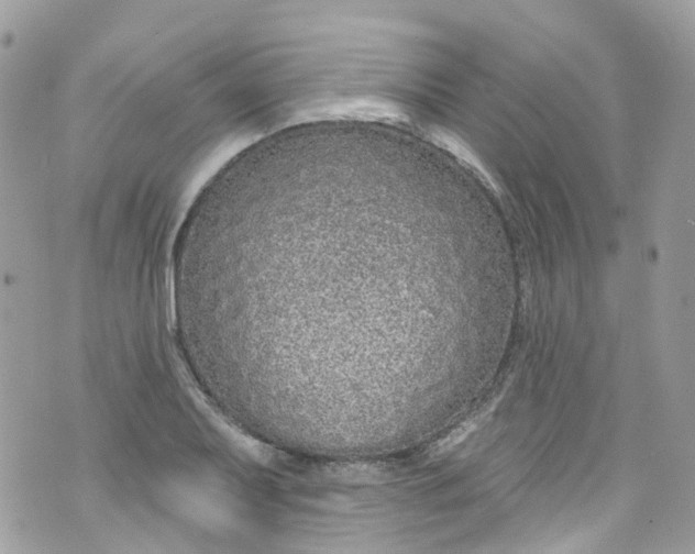 X0000072991079200608111801