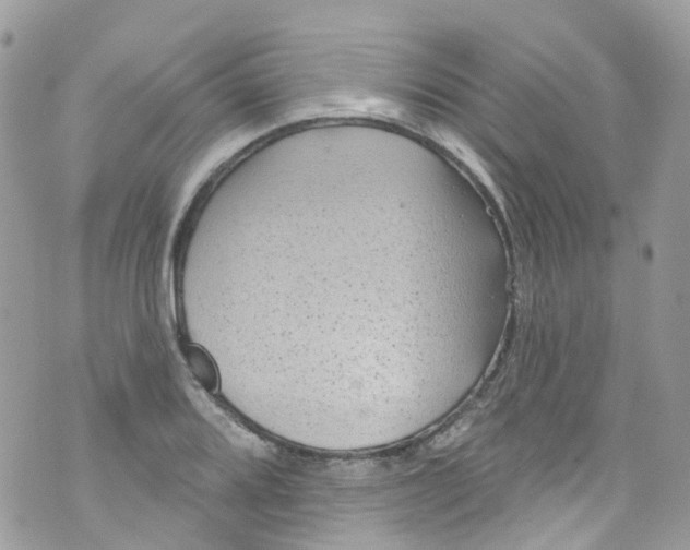 X0000072991080200608111801