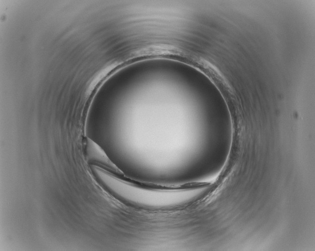 X0000072991081200608111801