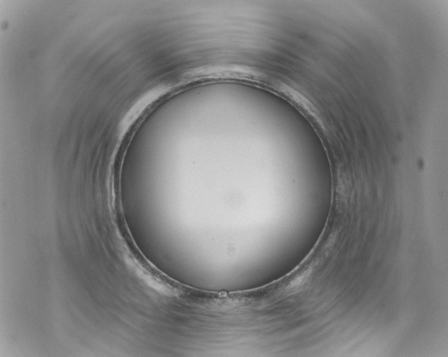 X0000072991082200608111801